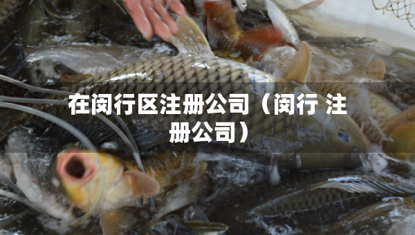 在闵行区注册公司（闵行 注册公司）