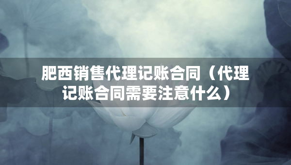 肥西销售代理记账合同（代理记账合同需要注意什么）