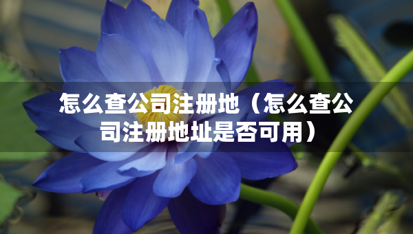 怎么查公司注册地（怎么查公司注册地址是否可用）