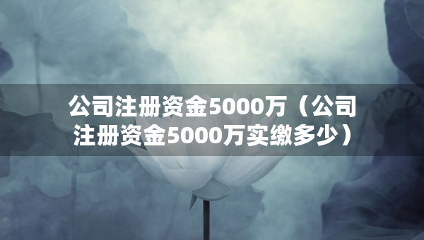 公司注册资金5000万（公司注册资金5000万实缴多少）