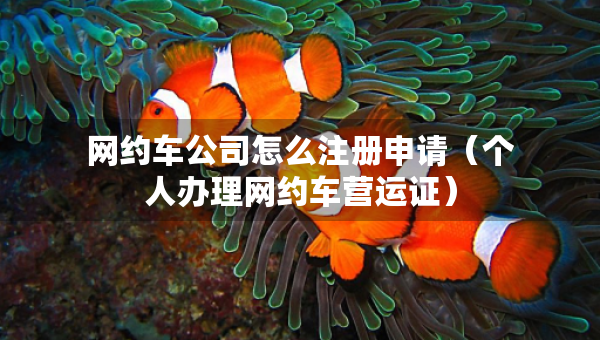 网约车公司怎么注册申请（个人办理网约车营运证）