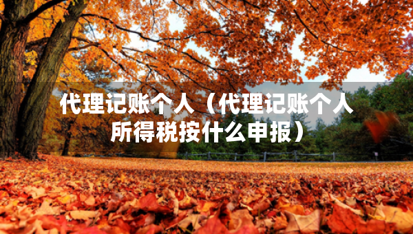代理记账个人（代理记账个人所得税按什么申报）