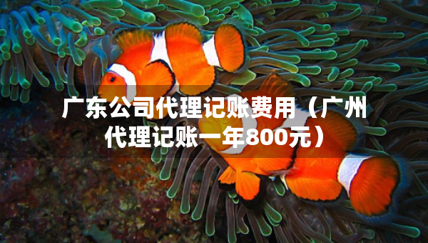 广东公司代理记账费用（广州代理记账一年800元）