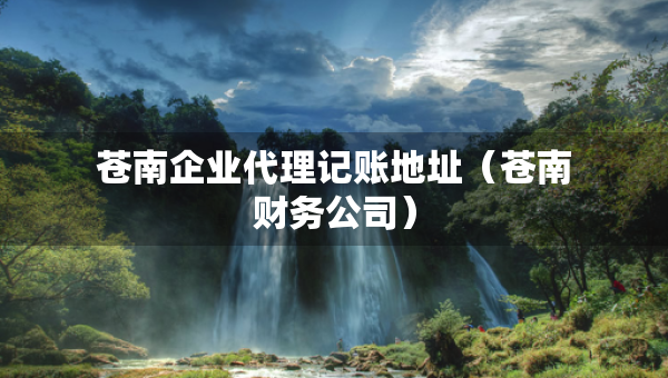 苍南企业代理记账地址（苍南财务公司）