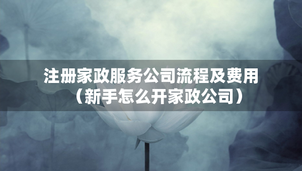注册家政服务公司流程及费用（新手怎么开家政公司）