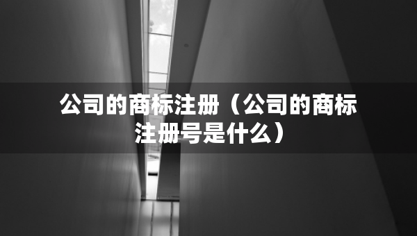 公司的商标注册（公司的商标注册号是什么）