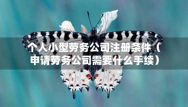 个人小型劳务公司注册条件（申请劳务公司需要什么手续）