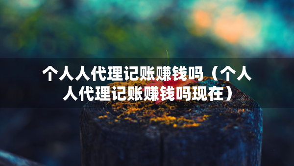 个人人代理记账赚钱吗（个人人代理记账赚钱吗现在）