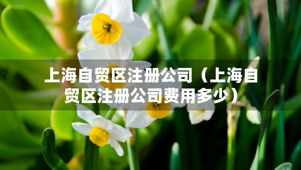 上海自贸区注册公司（上海自贸区注册公司费用多少）