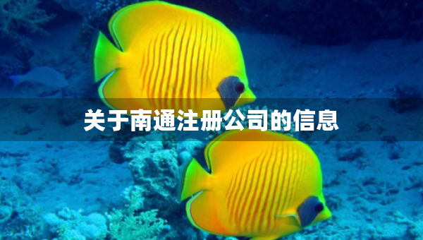 关于南通注册公司的信息