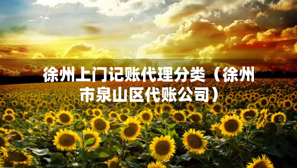 徐州上门记账代理分类（徐州市泉山区代账公司）