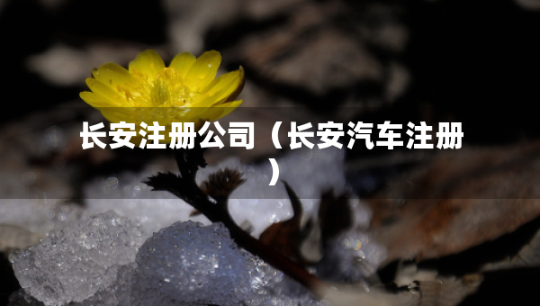 长安注册公司（长安汽车注册）