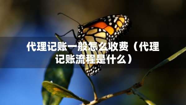 代理记账一般怎么收费（代理记账流程是什么）