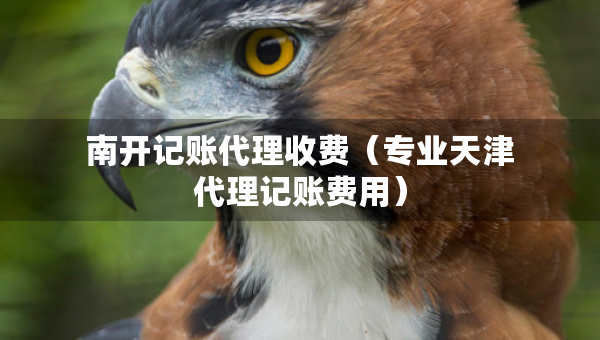 南开记账代理收费（专业天津代理记账费用）