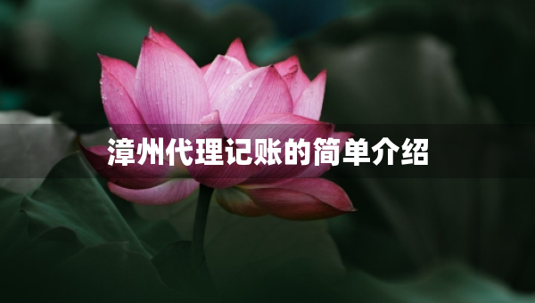 漳州代理记账的简单介绍