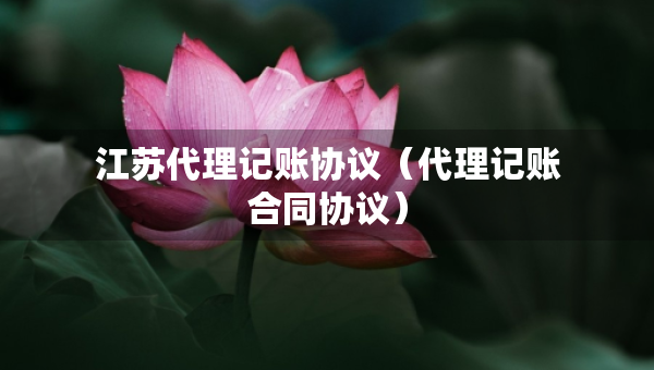 江苏代理记账协议（代理记账合同协议）