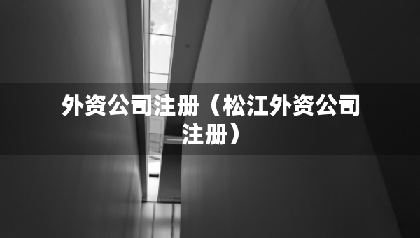 外资公司注册（松江外资公司注册）