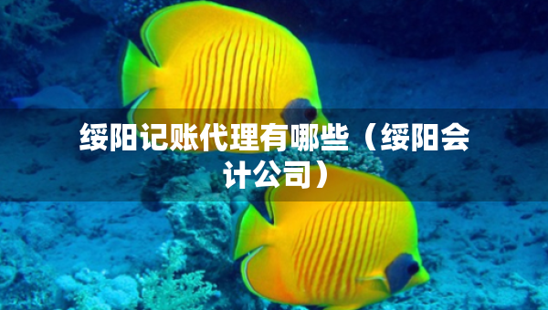 绥阳记账代理有哪些（绥阳会计公司）
