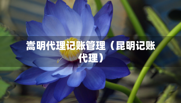 嵩明代理记账管理（昆明记账代理）