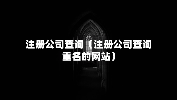 注册公司查询（注册公司查询重名的网站）
