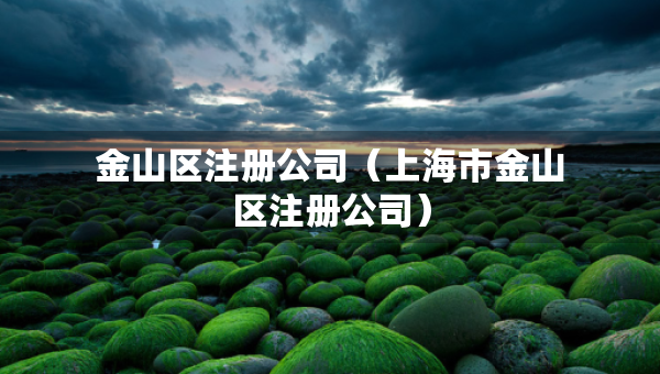 金山区注册公司（上海市金山区注册公司）