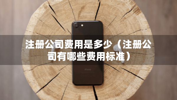 注册公司费用是多少（注册公司有哪些费用标准）
