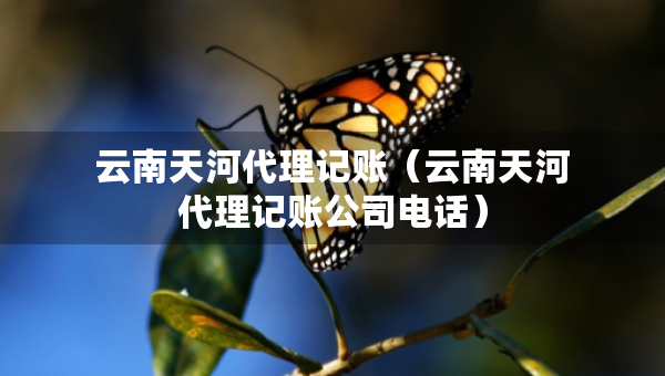云南天河代理记账（云南天河代理记账公司电话）