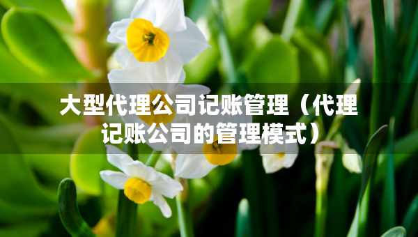 大型代理公司记账管理（代理记账公司的管理模式）