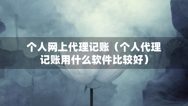 个人网上代理记账（个人代理记账用什么软件比较好）