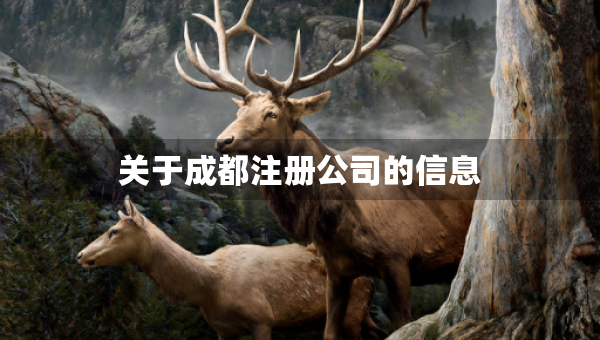 关于成都注册公司的信息