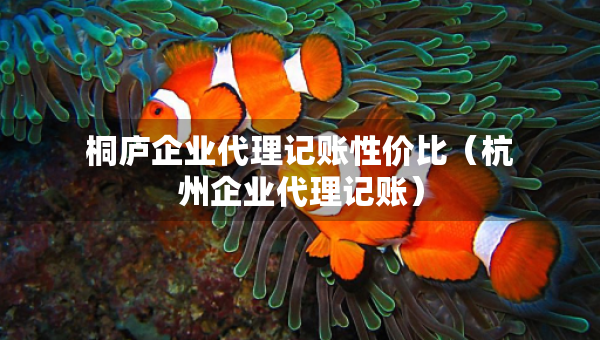 桐庐企业代理记账性价比（杭州企业代理记账）