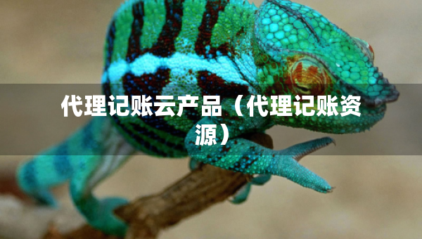 代理记账云产品（代理记账资源）
