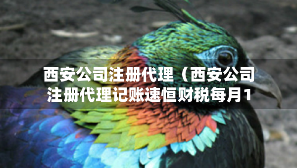 西安公司注册代理（西安公司注册代理记账速恒财税每月100元）