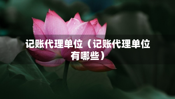 记账代理单位（记账代理单位有哪些）