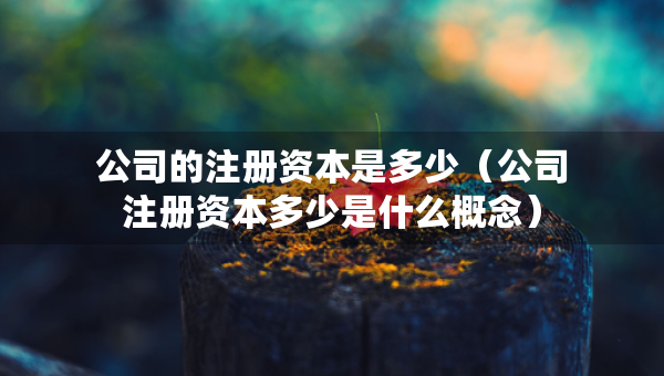 公司的注册资本是多少（公司注册资本多少是什么概念）