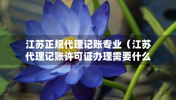 江苏正规代理记账专业（江苏代理记账许可证办理需要什么条件）