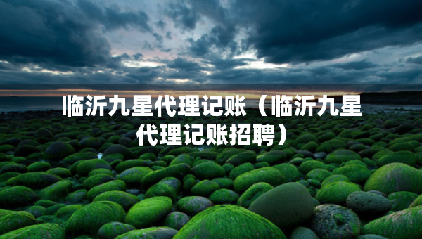 临沂九星代理记账（临沂九星代理记账招聘）