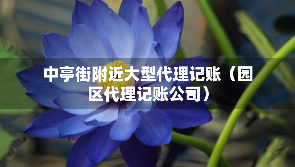 中亭街附近大型代理记账（园区代理记账公司）