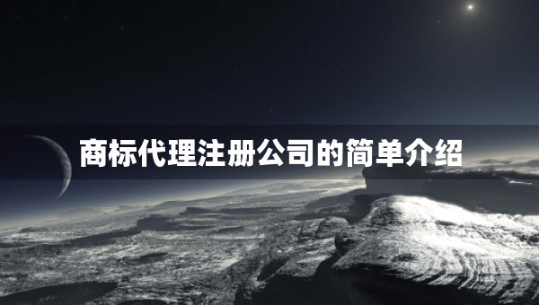 商标代理注册公司的简单介绍