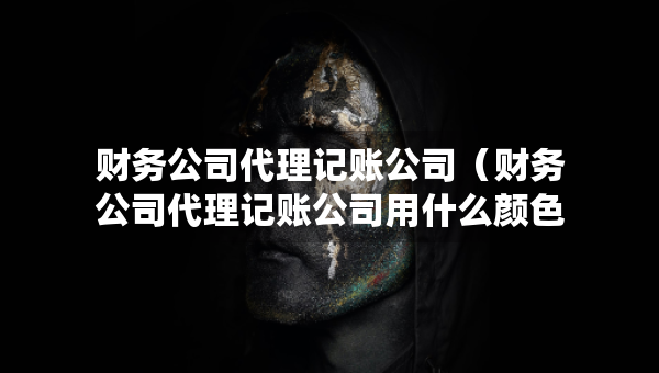 财务公司代理记账公司（财务公司代理记账公司用什么颜色）