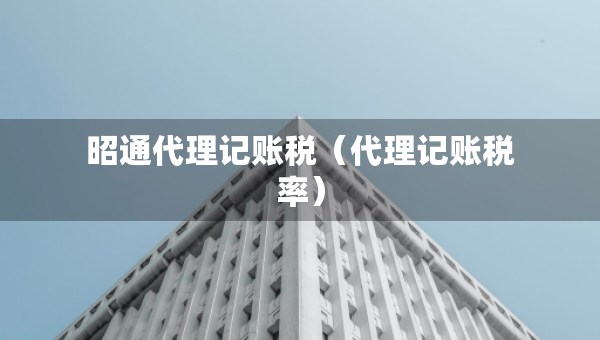 昭通代理记账税（代理记账税率）