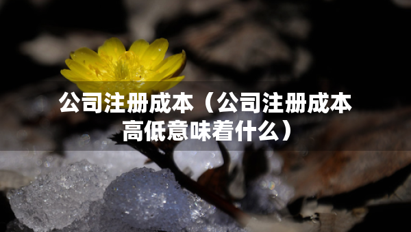 公司注册成本（公司注册成本高低意味着什么）