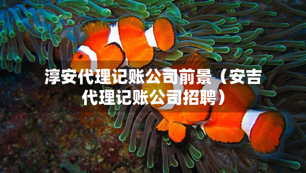 淳安代理记账公司前景（安吉代理记账公司招聘）