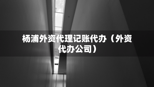 杨浦外资代理记账代办（外资代办公司）