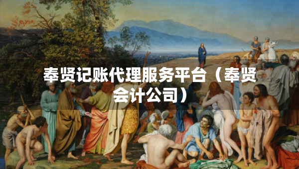 奉贤记账代理服务平台（奉贤会计公司）