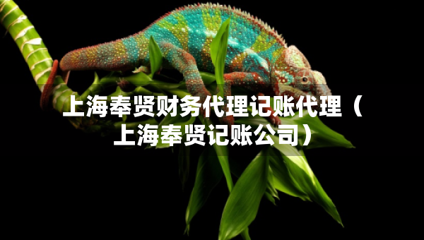 上海奉贤财务代理记账代理（上海奉贤记账公司）