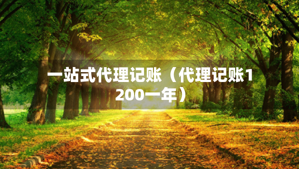 一站式代理记账（代理记账1200一年）