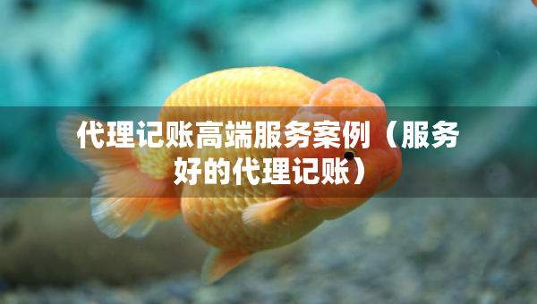 代理记账高端服务案例（服务好的代理记账）