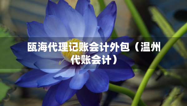 瓯海代理记账会计外包(温州代账会计) 瓯海代理记账会计外包(温州代账会计)
