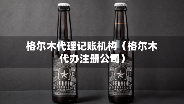 格尔木代理记账机构（格尔木代办注册公司）